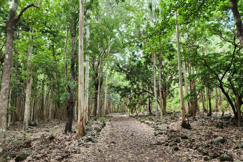 Flic en Flac: Prywatna wycieczka z przewodnikiem po Dolinie Czarnej RzekiPrywatna wycieczka z przewodnikiem po Black River Valley