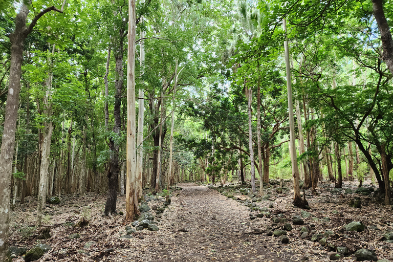 Flic en Flac: Prywatna wycieczka z przewodnikiem po Dolinie Czarnej RzekiPrywatna wycieczka z przewodnikiem po Black River Valley