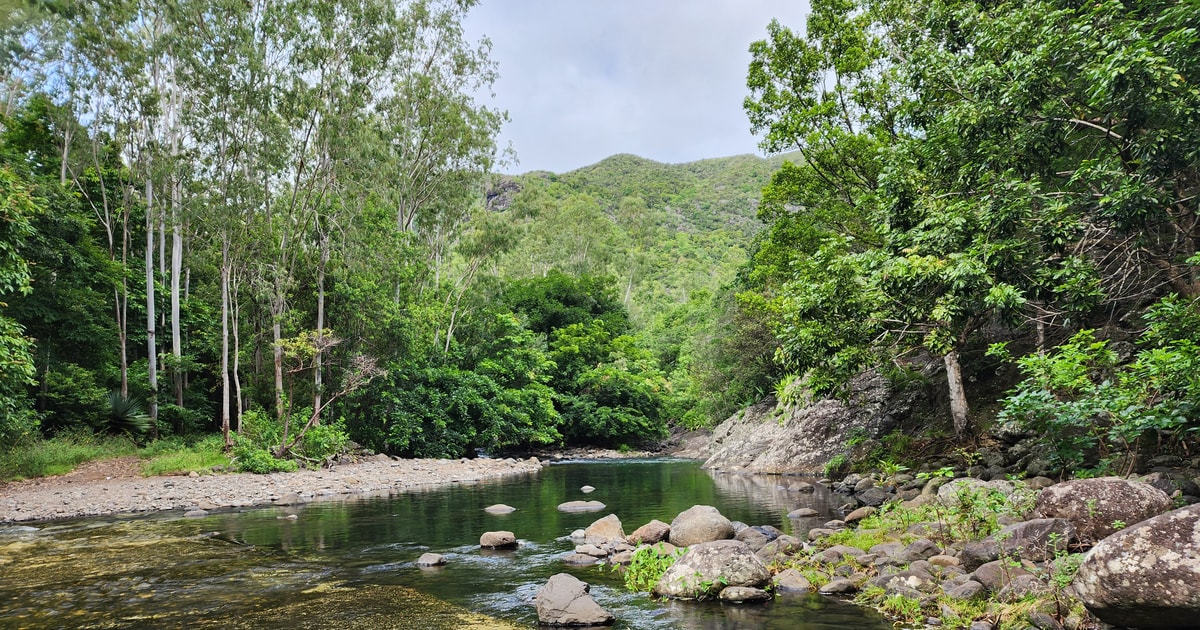 Black River Valley Private Guided Nature Hike | GetYourGuide