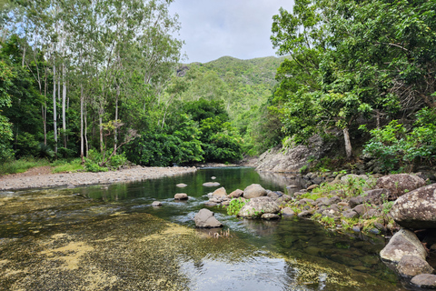 Flic en Flac: Prywatna wycieczka z przewodnikiem po Dolinie Czarnej RzekiPrywatna wycieczka z przewodnikiem po Black River Valley