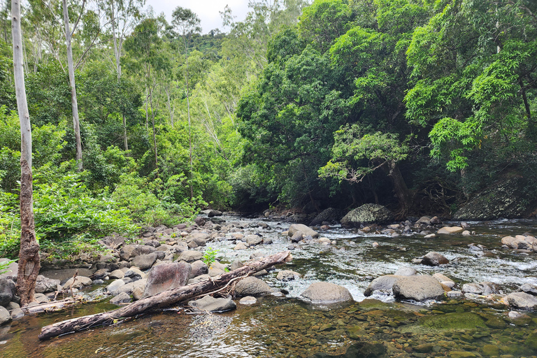 Flic en Flac: Prywatna wycieczka z przewodnikiem po Dolinie Czarnej RzekiPrywatna wycieczka z przewodnikiem po Black River Valley