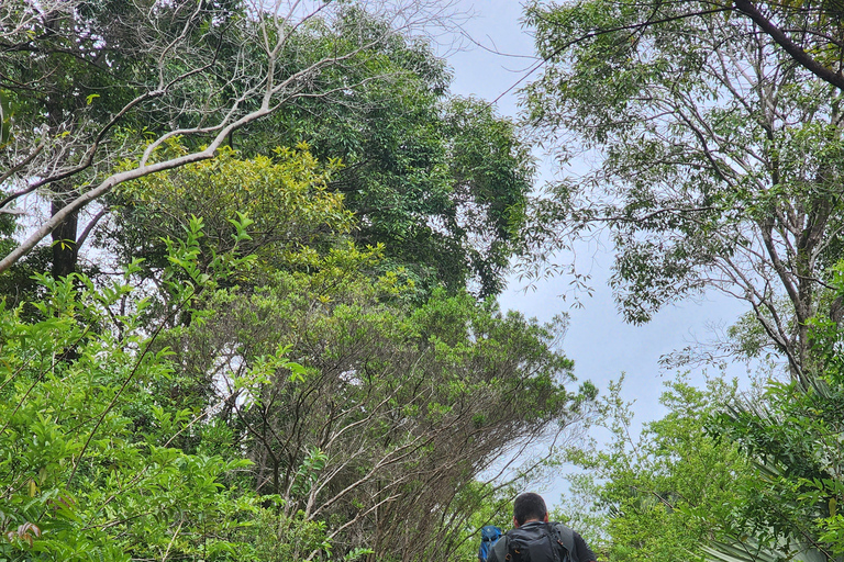 Flic en Flac: Prywatna wycieczka z przewodnikiem po Dolinie Czarnej RzekiPrywatna wycieczka z przewodnikiem po Black River Valley