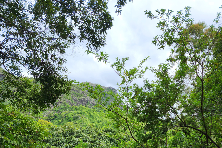 Flic en Flac: Prywatna wycieczka z przewodnikiem po Dolinie Czarnej RzekiPrywatna wycieczka z przewodnikiem po Black River Valley