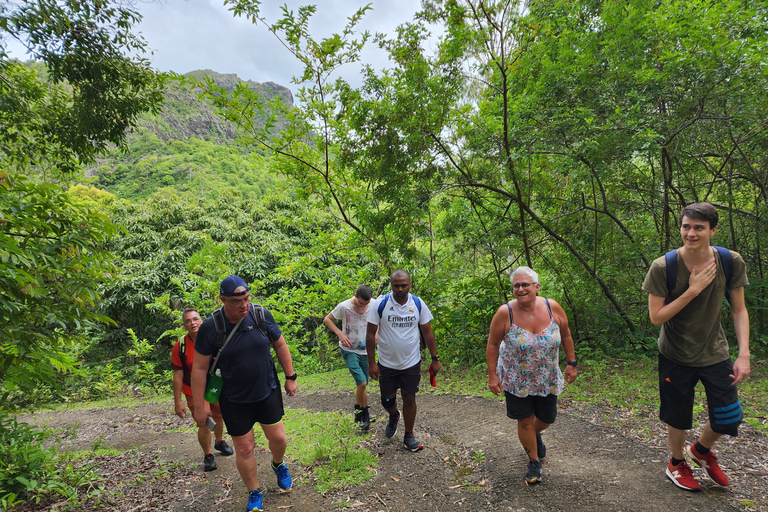 Flic en Flac: Prywatna wycieczka z przewodnikiem po Dolinie Czarnej RzekiPrywatna wycieczka z przewodnikiem po Black River Valley