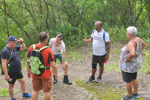 Flic en Flac: Prywatna wycieczka z przewodnikiem po Dolinie Czarnej RzekiPrywatna wycieczka z przewodnikiem po Black River Valley