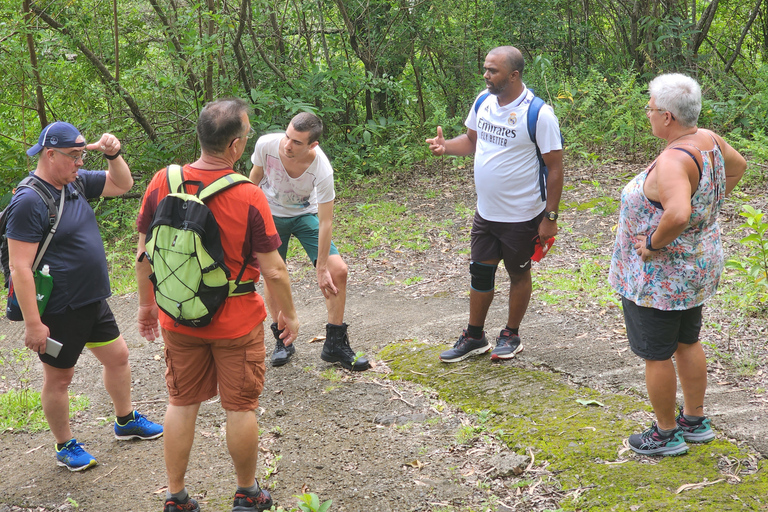 Flic en Flac: Prywatna wycieczka z przewodnikiem po Dolinie Czarnej RzekiPrywatna wycieczka z przewodnikiem po Black River Valley