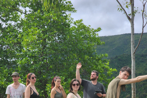 Flic en Flac: Prywatna wycieczka z przewodnikiem po Dolinie Czarnej RzekiPrywatna wycieczka z przewodnikiem po Black River Valley