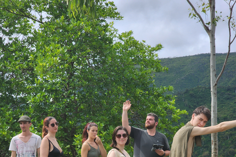 Flic en Flac: Prywatna wycieczka z przewodnikiem po Dolinie Czarnej RzekiPrywatna wycieczka z przewodnikiem po Black River Valley