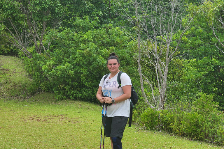 Flic en Flac: Prywatna wycieczka z przewodnikiem po Dolinie Czarnej RzekiPrywatna wycieczka z przewodnikiem po Black River Valley