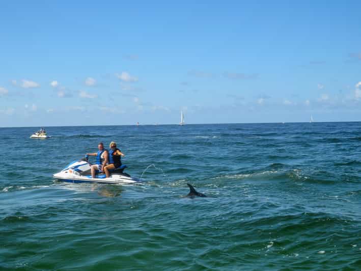 Destin Crab Island Dolphin Watching Jet Ski Tour GetYourGuide