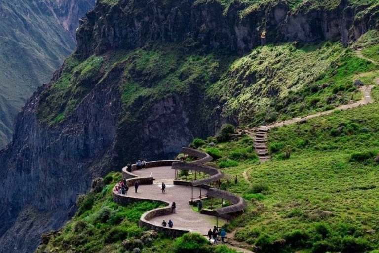 From Arequipa: Tour Colca Canyon with transfer to Puno 2D/1N