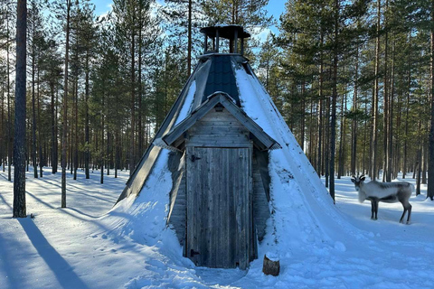 Helsinki Private VIP Tour Reindeer Farm and Buggy Adventure