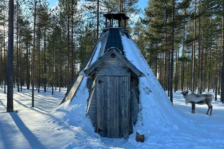 Helsinki Private VIP Tour Reindeer Farm and Buggy Adventure