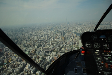 Tokio: lot helikopterem z przewodnikiem z opcją na górę FujiMt. Fuji Cross-Country Tour (90 minut rejsu)