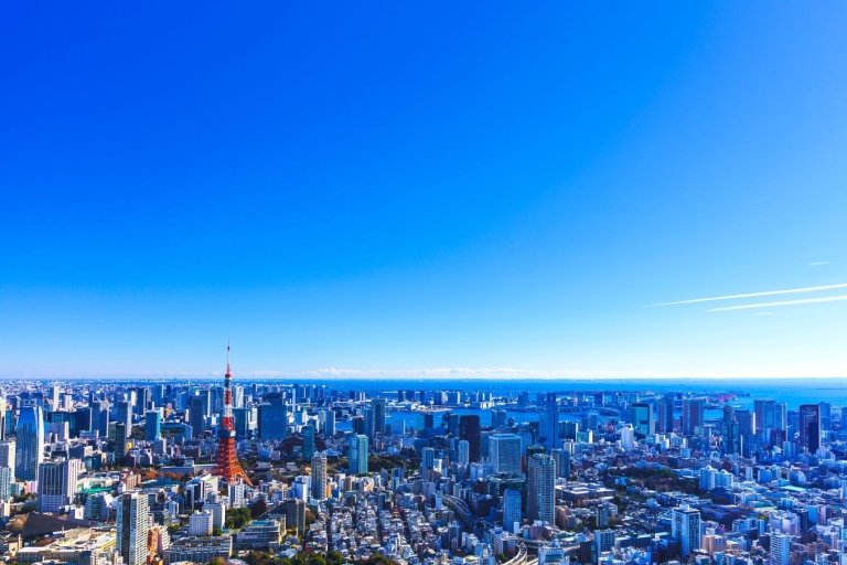 Tokio: Paseo guiado en helicóptero con opción al Monte FujiVisita a la ciudad de Tokio (20 minutos de crucero)