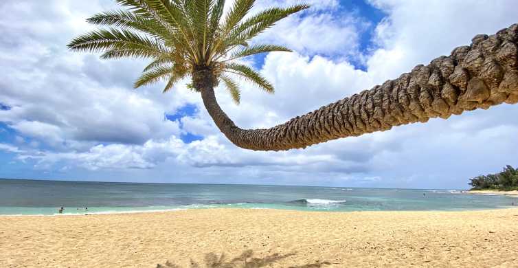 The BEST North Shore, Oahu Tours and Things to Do in 2024 - FREE