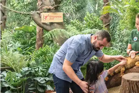 Zoo de Singapour : billet matinal et prise en charge