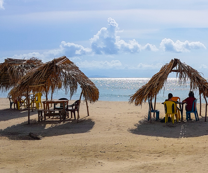 San Pedro Sula: Tela Beach Day Trip with Guided Tour & Water