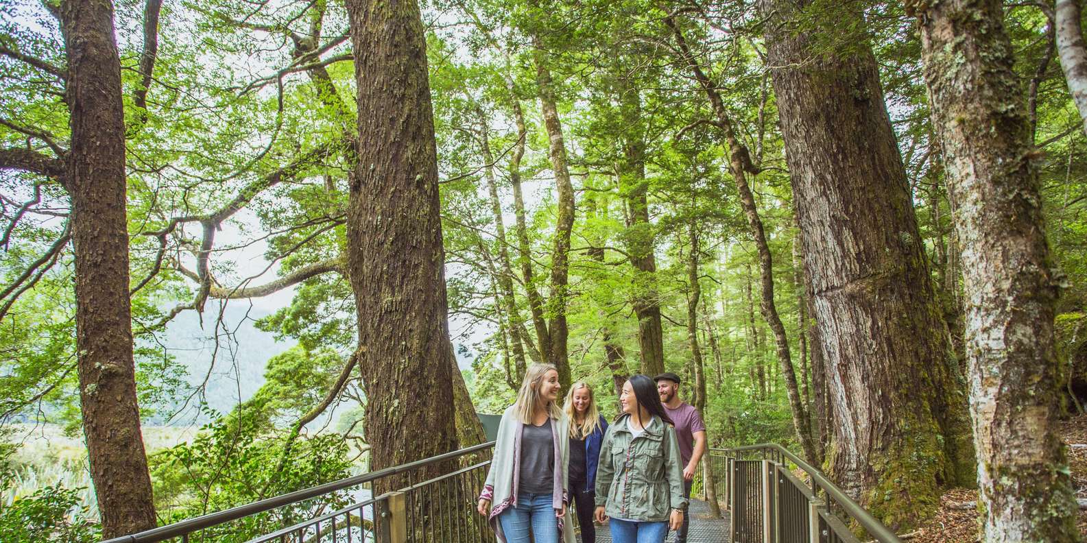 Stirling Falls spray close up from cruise boat