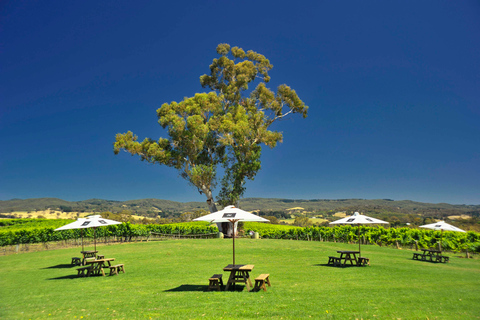 Adelaide: Adelaide Hills and Hahndorf Guided Tour with Lunch