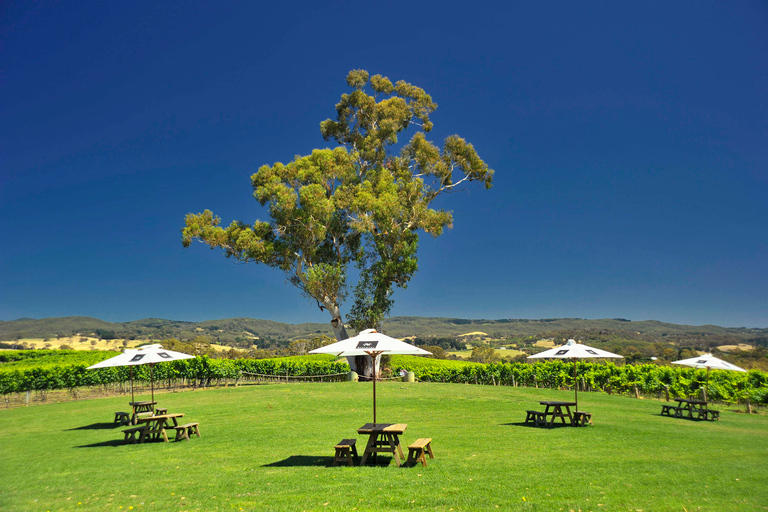 Adelaide: Adelaide Hills and Hahndorf Guided Tour with Lunch