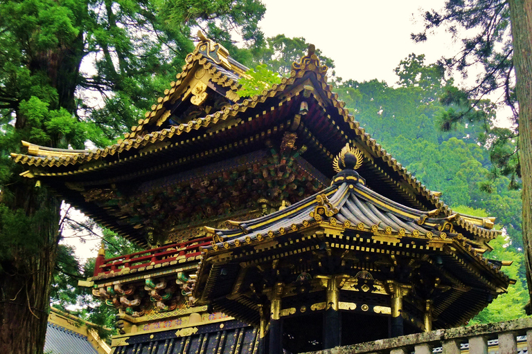 Vanuit Tokio: Nikko Werelderfgoed 1-daagse bustourEendaagse Nikko Werelderfgoedtour - Lunch inbegrepen