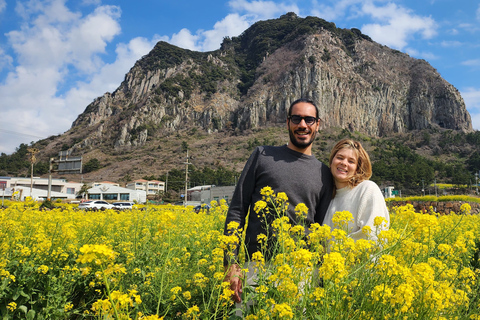 Île de Jeju : Journée complète de visite guidée en voiture privée personnalisableVisite en camionnette (jusqu&#039;à 7 personnes)