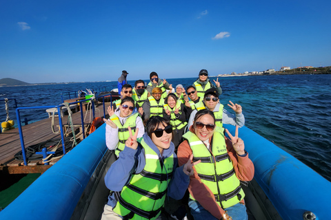 Île de Jeju : Journée complète de visite guidée en voiture privée personnalisableVisite en Combi Van (jusqu&#039;à 13 personnes)