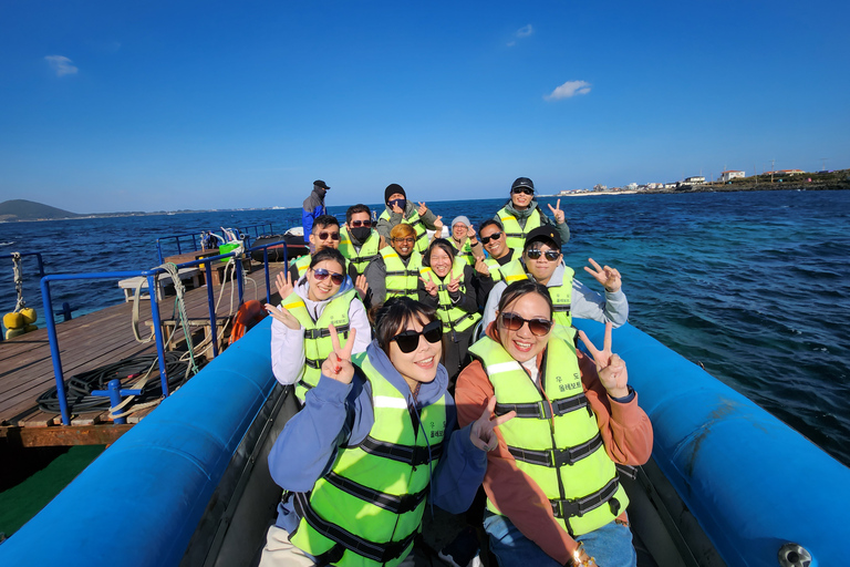 Jeju-eiland: aanpasbare privétour met auto van een hele dagRondleiding per bus (tot 40 personen)