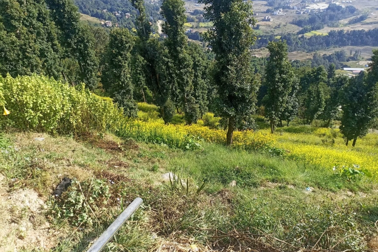 Jednodniowa wycieczka piesza po Nagarkot z widokiem na góry