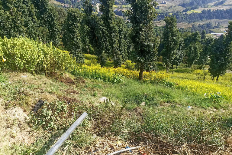 Jednodniowa wycieczka piesza po Nagarkot z widokiem na góry