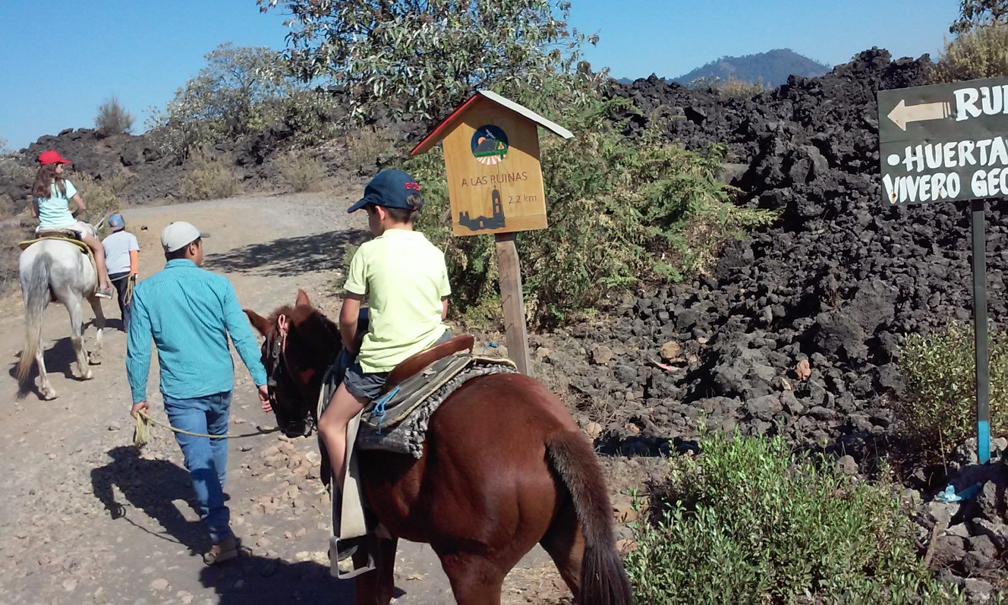 Paricutin Vulkankrater Sondertour