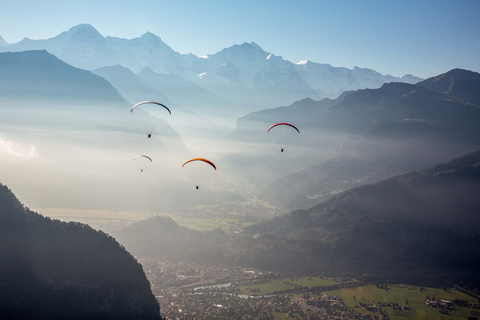 Interlaken: Tandem paragliding vlucht met pilootInterlaken: tandemparaglidingvlucht met piloot