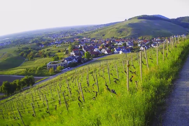 Baden-Baden : Visite guidée privée de KNUMO e-Scooter VIPBaden-Baden : Visite guidée privée de KNUMO