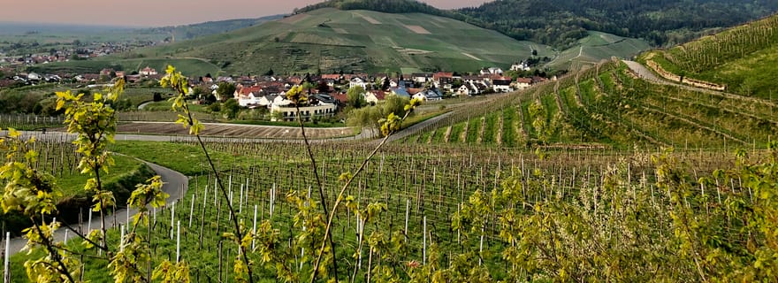 Baden-Baden : excursion privée en VTT électrique avec un guide de la région