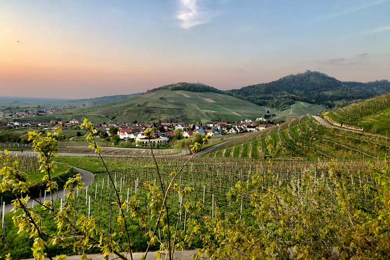 Baden-Baden : Visite guidée privée de KNUMO e-Scooter VIPBaden-Baden : Visite guidée privée de KNUMO