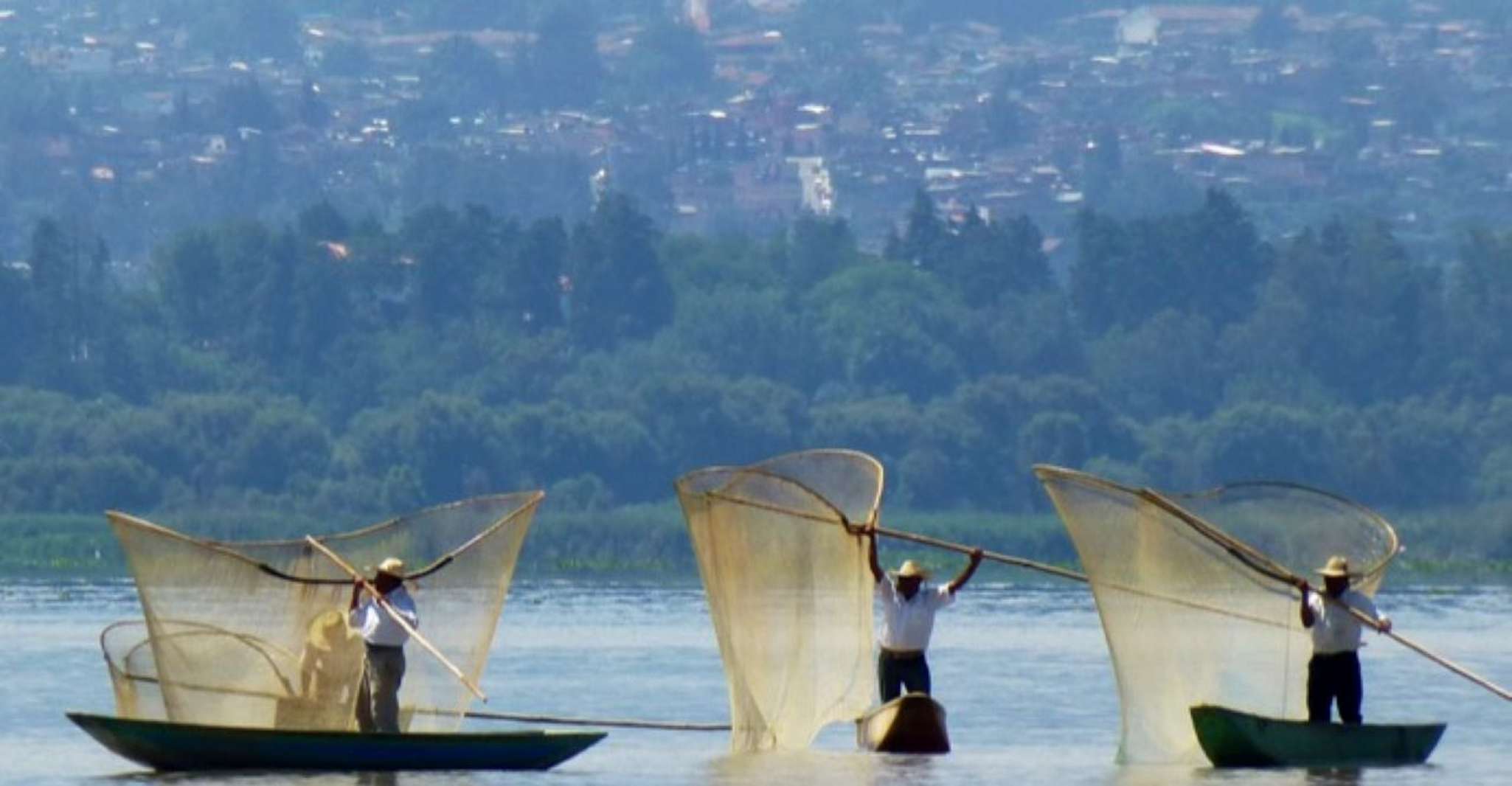 Patzcuaro - Janitzio Tour um die "Butterfly Netze" zu beobachten - Hizvo