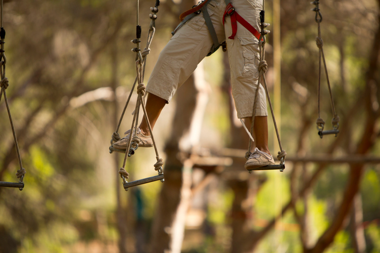 MALLORCA: Aventura adrenalínica en las copas de los árboles