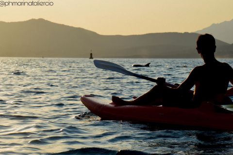 Golfo Aranci: Sunset Dolphin Kayak Tour with Aperitif
