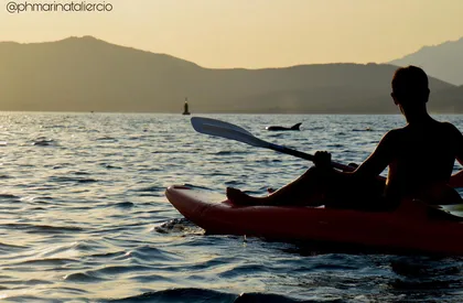 Golfo Aranci: Delfin-Kajaktour bei Sonnenuntergang mit Aperitif