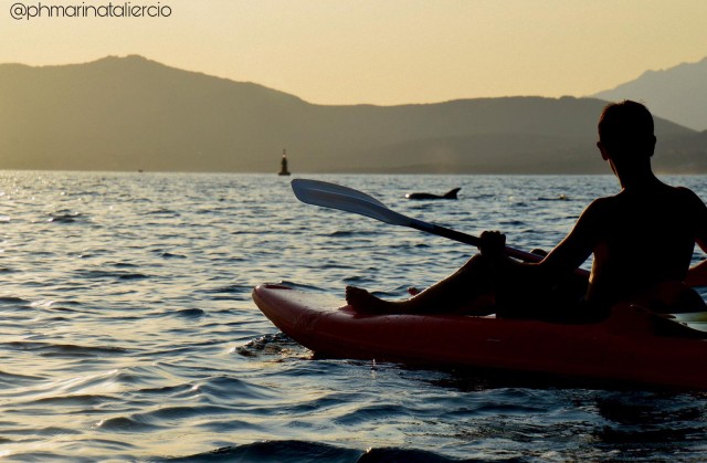 Visit Golfo Aranci Sunset Dolphin Kayak Tour with Aperitif in Olbia, Italy