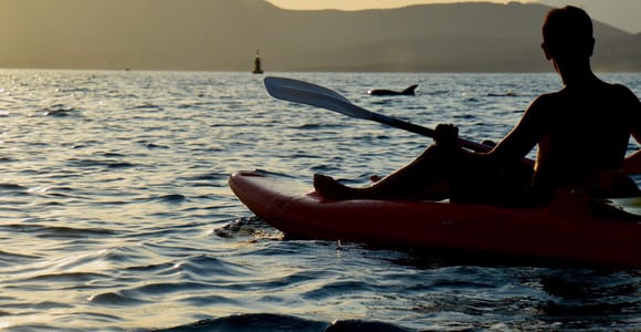 Golfo Aranci: Sunset Dolphin Kayak Tour with Aperitif