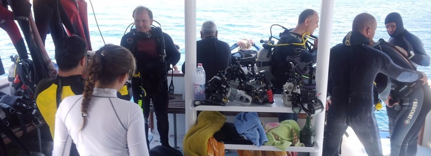 Aqaba : 2 plongées guidées en bateau avec équipement et déjeuner buffet