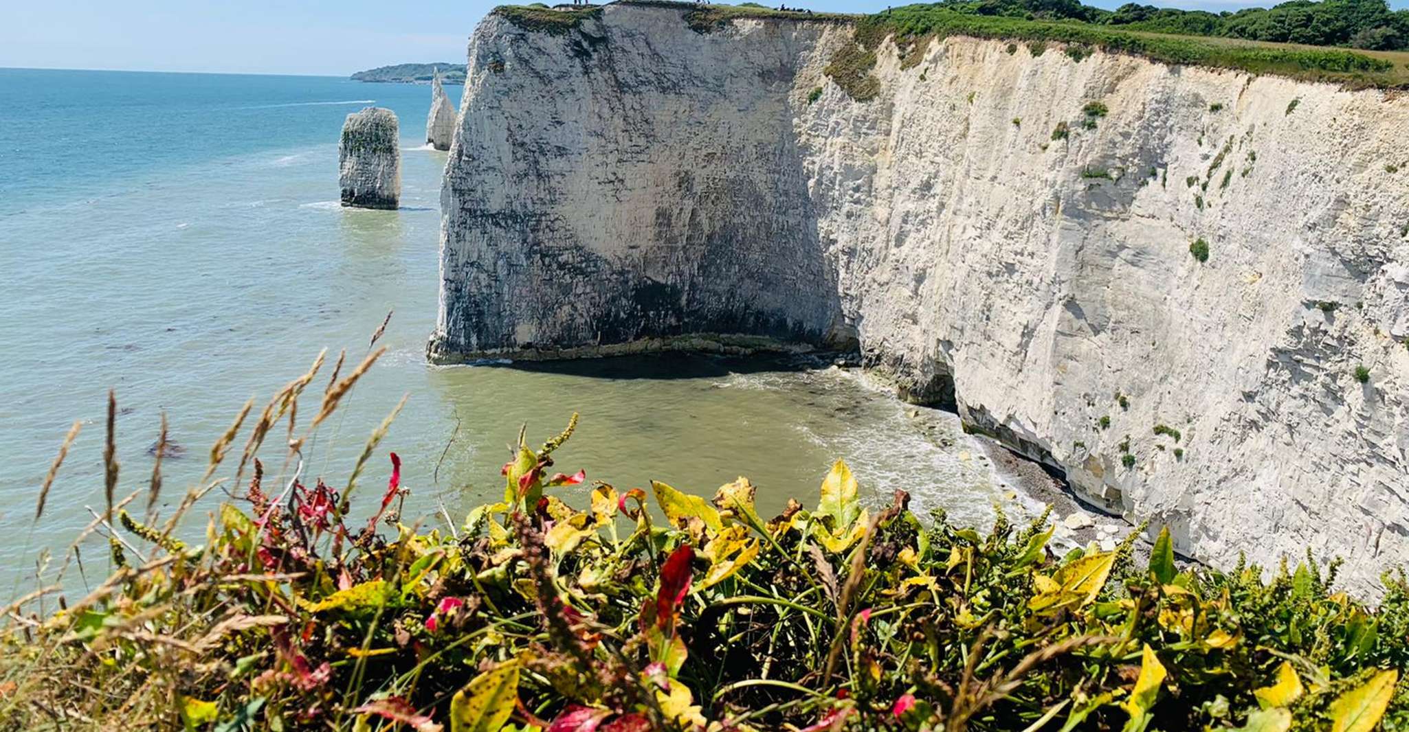 Poole, Old Harry Rocks und Corfé Castle Geführte E-Bike Tour - Hizvo