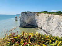 Poole, Old Harry Rocks und Corfé Castle Geführte E-Bike Tour - Hizvo