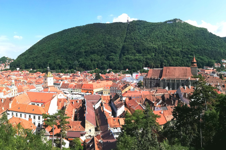 Privat guidad tur Draculas slott &amp; björnreservatBran: Privat guidad tur till Draculas slott och björnreservat