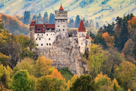 Premium privétour: Dracula's Castle & Bear Sanctuary