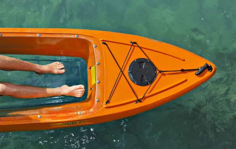 Salt River Bay National Park LED Moonlight Tour GetYourGuide