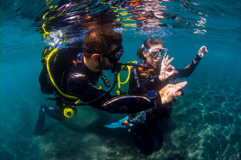 Plongée d'essai pour les croisiéristes