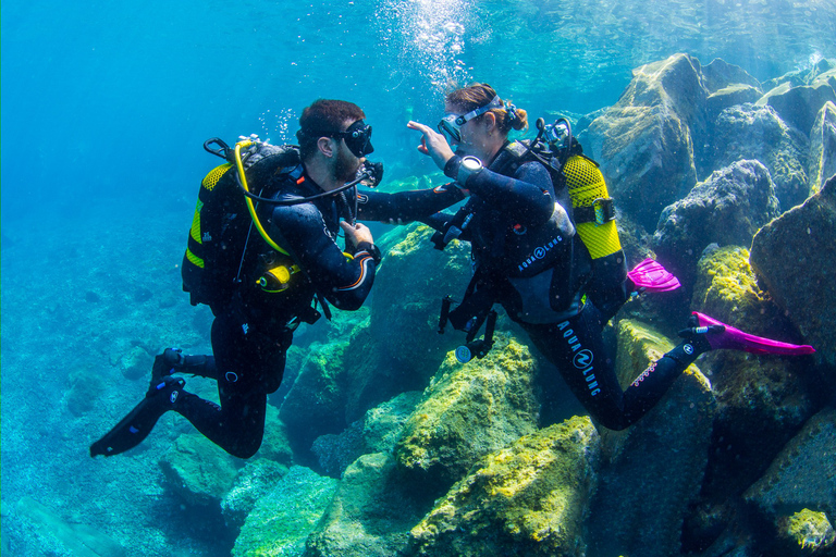 Plongée d'essai pour les croisiéristes